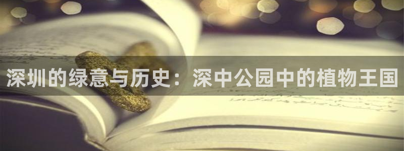 新宝gg app:深圳的绿意与历史:深中公园中的植物王国
