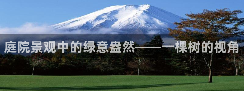 新宝gg官方下载:庭院景观中的绿意盎然——一棵树的视角