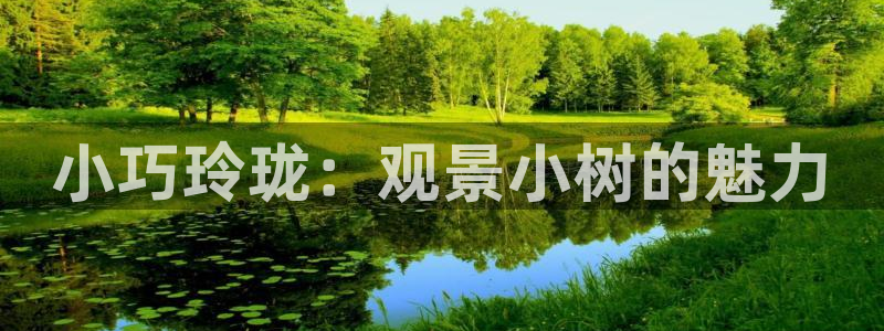 新宝gg测速:小巧玲珑:观景小树的魅力