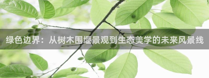 新宝gg — 创造!:绿色边界:从树木围堰景观到生态美学的未来风景线