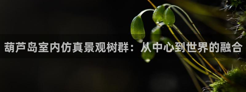 新宝GG娱乐下载:葫芦岛室内仿真景观树群:从中心到世界的融合